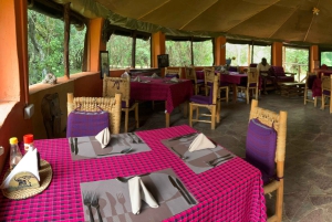 Nairobista Masai Maraan: 3 päivää 2 yötä Masai Marassa