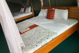 Nairobista Masai Maraan: 3 päivää 2 yötä Masai Marassa