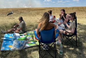 Nairobista Masai Maraan: 3 päivää 2 yötä Masai Marassa