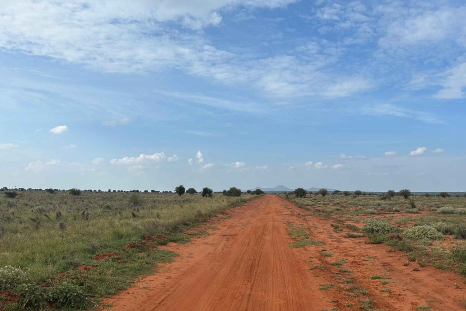 De Watamu: Safari de 2 dias no Parque Nacional Tsavo Este