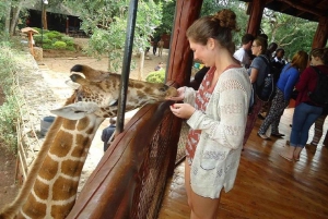 Giraffcenter, elefantbarnhem och Kazuri-pärlor Tour