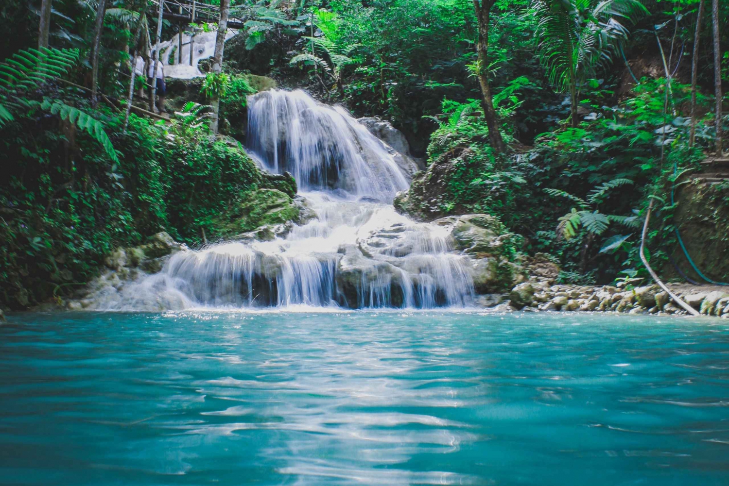 Vaellus Karuran metsässä