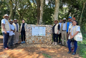 Kakamega Forest: Safari med fuglekikking