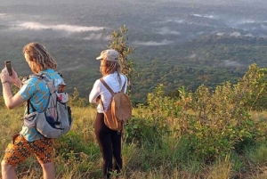 Kakamega Forest: Safari med fuglekikking