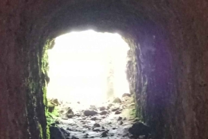 Kakamega Forest: Safari med fuglekikking