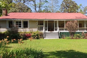 Kakamega Forest: Safari med fuglekikking