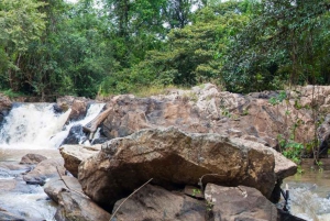 Kakamega Forest: Safari med fuglekikking