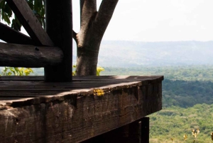 Kakamega Forest: Safari med fuglekikking