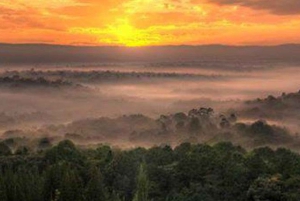 Kakamega Forest: Safari med fuglekikking