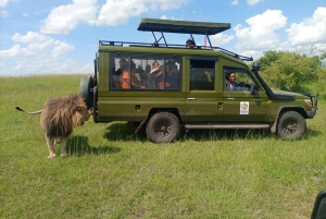 Kenya: Safari di 7 giorni a Masai Mara, Lago Naivasha e Amboseli