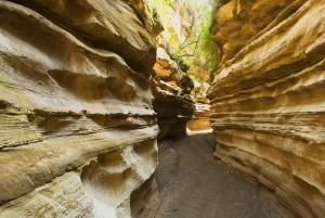 Kenia: Longonot-vuori ja Hell's Gate -kansallispuisto 2 päivän retki: Longonot-vuori ja Hell's Gate -kansallispuisto 2 päivän retki