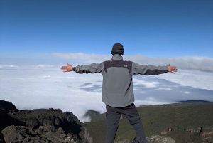 Kilimanjaro: 6 dagars vandring på Rongai Route med toppmöte på Uhuru Peak