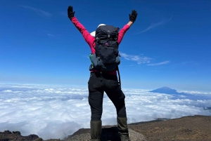 Kilimanjaro: 6 dagars vandring på Rongai Route med toppmöte på Uhuru Peak