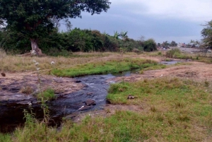 Kimbo: historiallinen patokierros ja kahvimaistelu