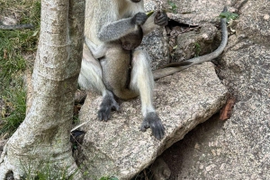 Randonnée historique à Kit-Mikayi