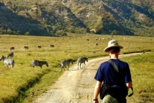 Групповая однодневная экскурсия в заповедник Хеллс-Гейт и к озеру Найваша