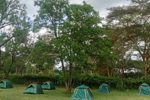 Групповая однодневная экскурсия в заповедник Хеллс-Гейт и к озеру Найваша