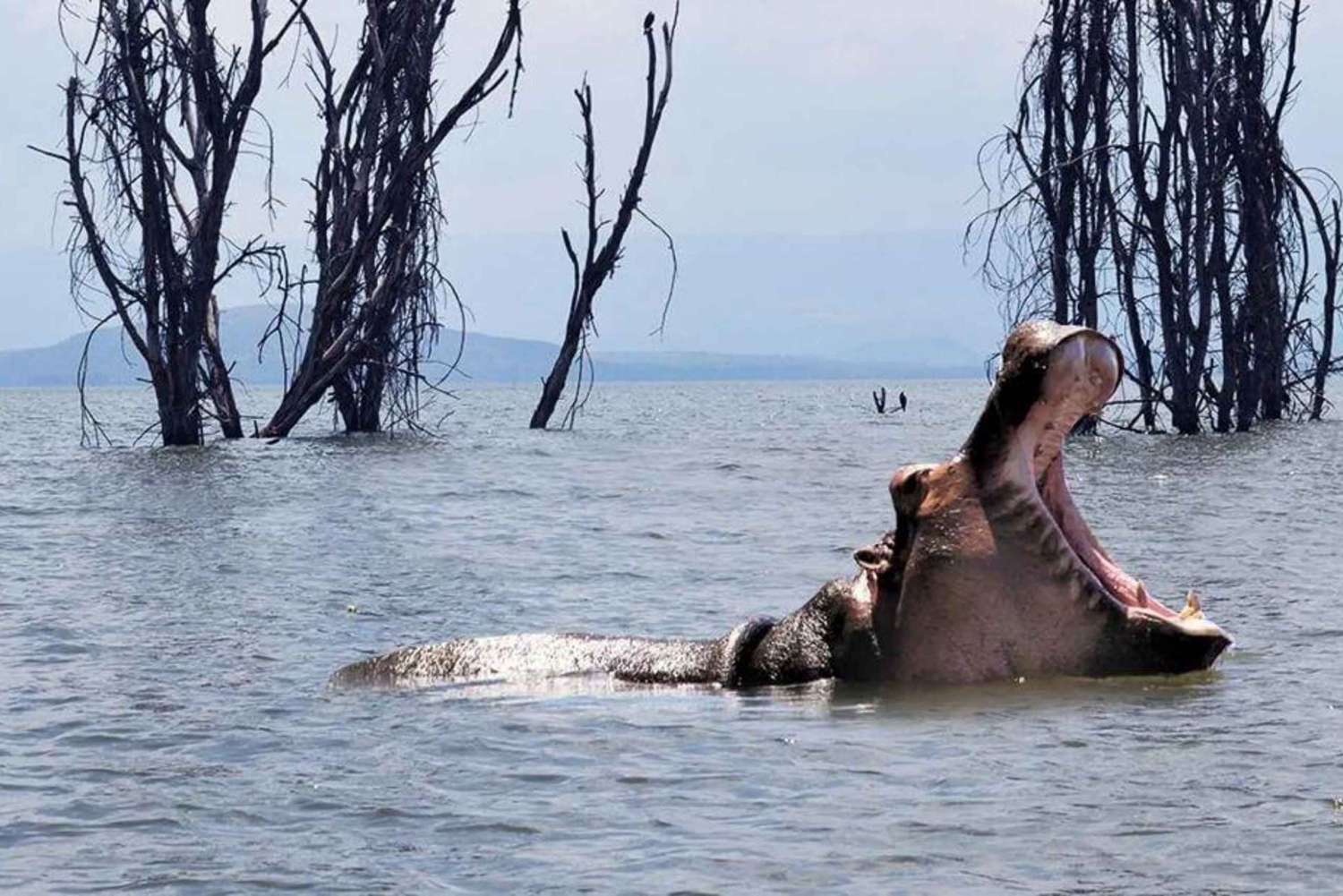 Naivashasee: Crescent Island Wildschutzgebiet