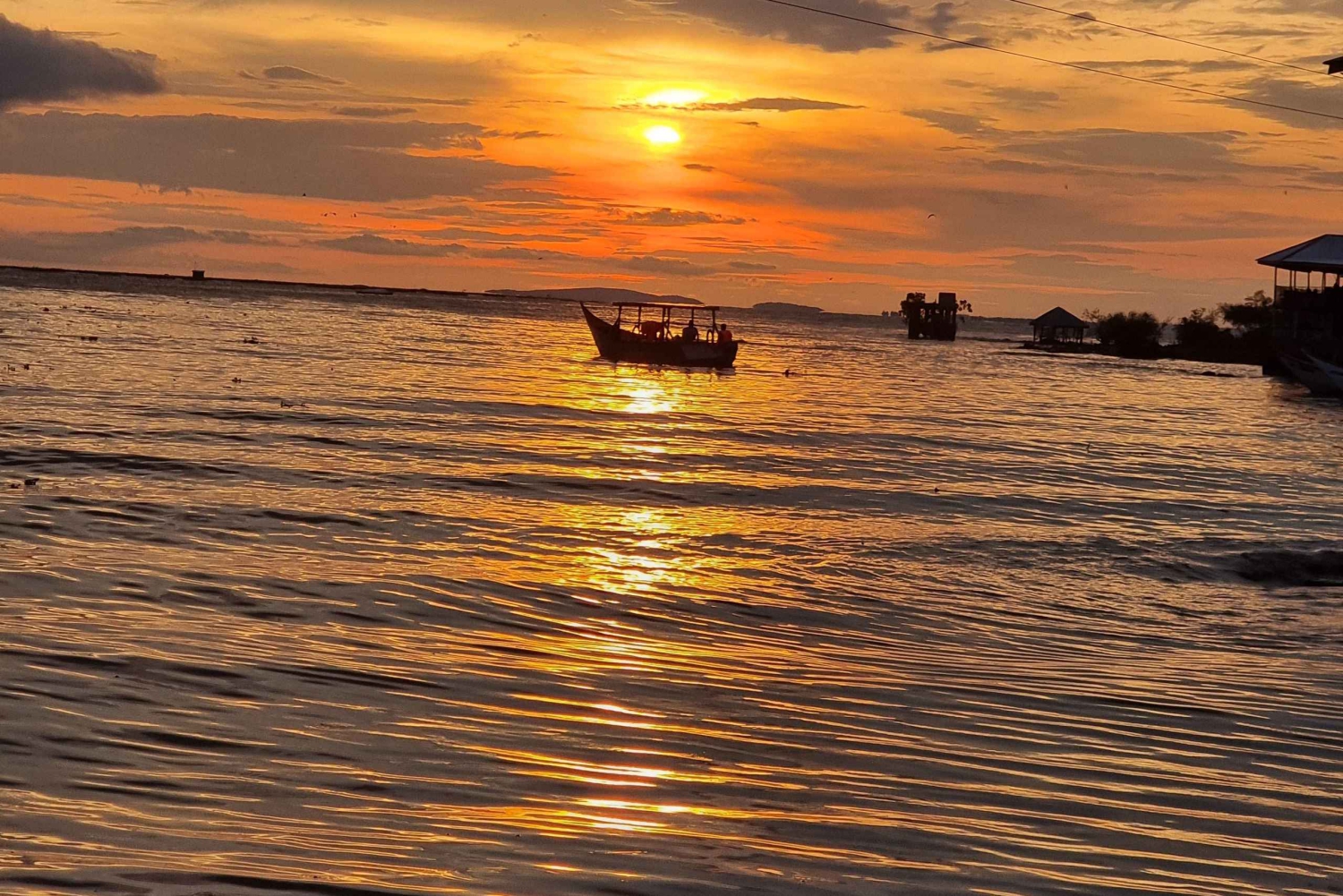 Viktoriajärven venematka, virtahepojen ja lintujen tarkkailua