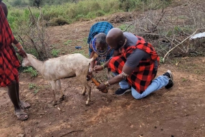 Passeio pela vila tradicional de Maasai