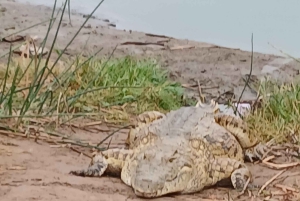 Malindi: 2-tägige Safari im Tsavo-East-Nationalpark mit Abholung