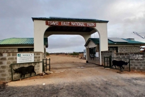 Malindi: 2-tägige Safari im Tsavo-East-Nationalpark mit Abholung