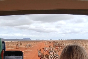 Malindi: 2-tägige Safari im Tsavo-East-Nationalpark mit Abholung