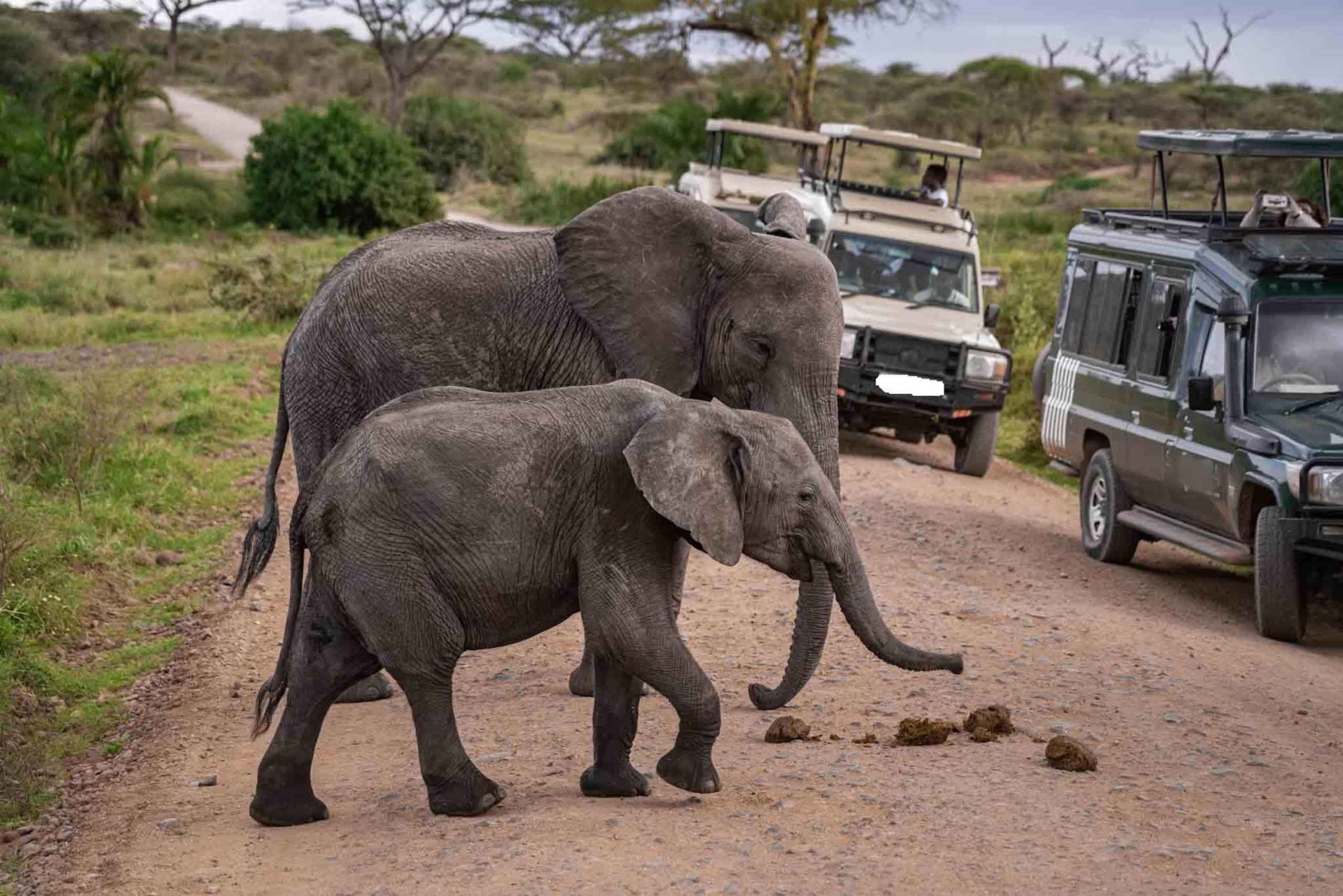 Masai Mara Orçamento 2 noites de acampamento em tenda Safari em jipe 4x4