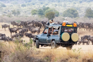 Masai Mara Orçamento 2 noites de acampamento em tenda Safari em jipe 4x4