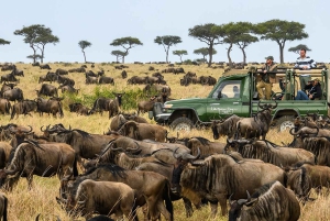 Masai Mara Orçamento 2 noites de acampamento em tenda Safari em jipe 4x4