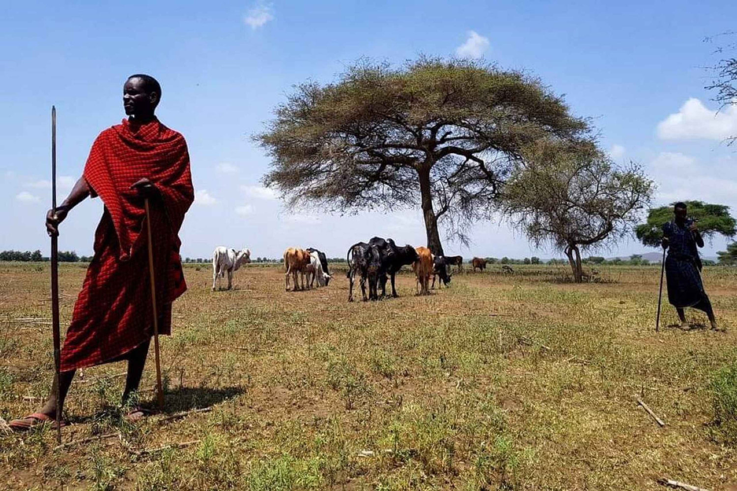 MASAI VILLAGE CULTURAL EXPRIENCE DAY TOUR.