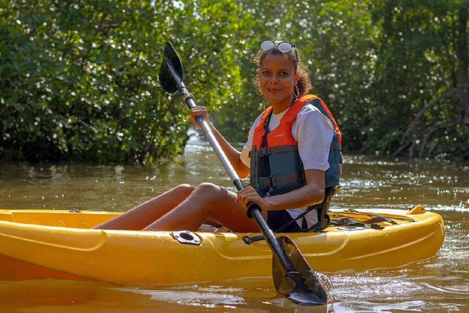 Przygoda w lesie namorzynowym Mida Creek z obserwacją ptaków