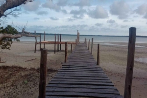 Mida Creek: Visita guiada à floresta de mangais e à lagoa de Malindi