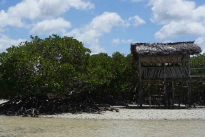 Mida Creek: Visita guiada à floresta de mangais e à lagoa de Malindi