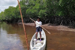Mida Creek: Visita guiada à floresta de mangais e à lagoa de Malindi