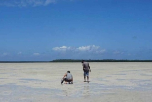 Mida Creek: Visita guiada à floresta de mangais e à lagoa de Malindi