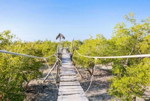 Mida Creek: Visita guiada à floresta de mangais e à lagoa de Malindi