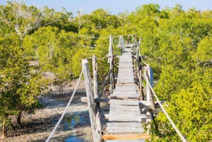 Mida Creek: Visita guiada à floresta de mangais e à lagoa de Malindi