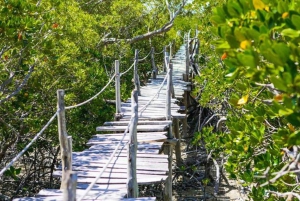 Mida Creek: Visita guiada à floresta de mangais e à lagoa de Malindi