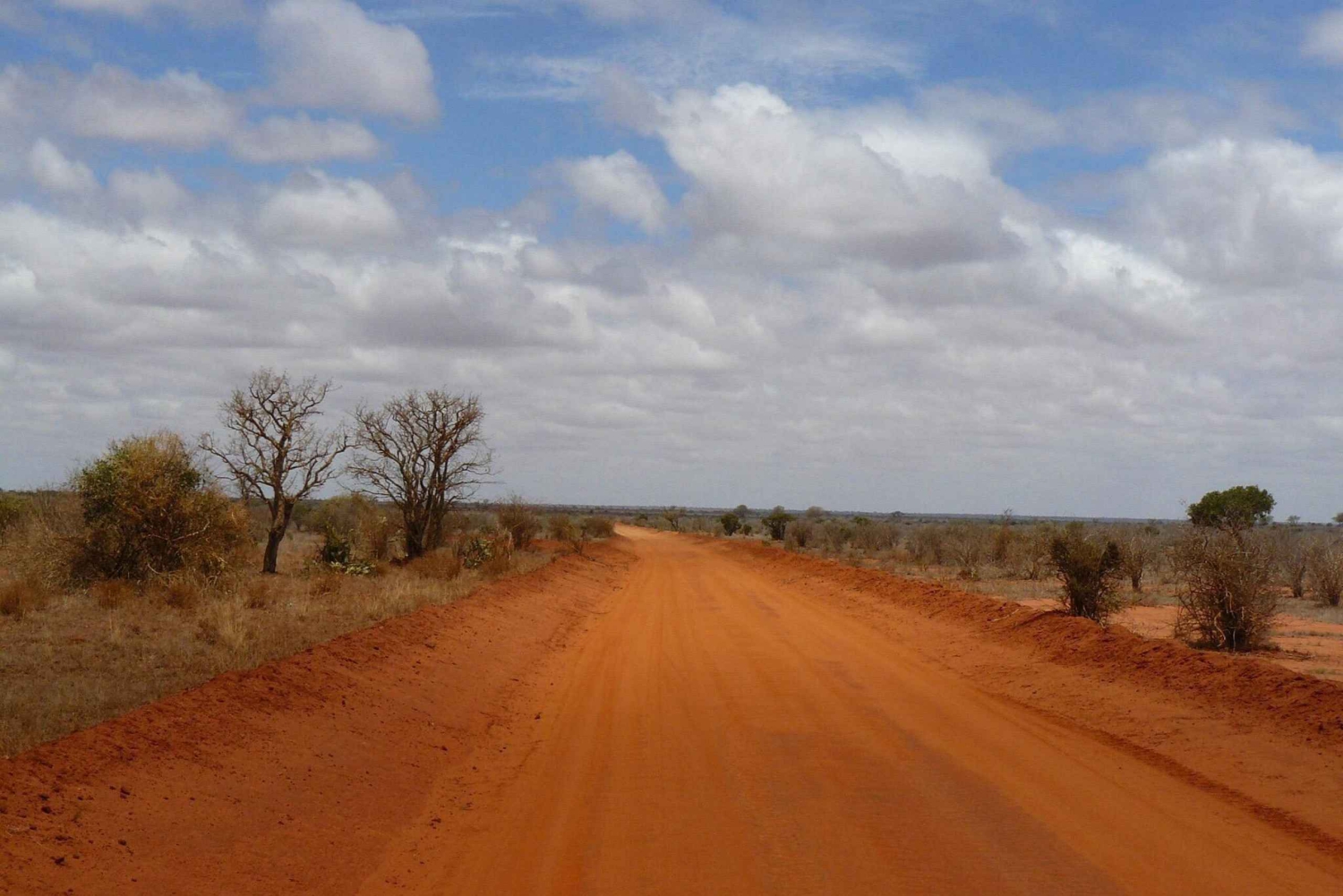 Mombasa/Diani: 2-dages safari i Tsavo East og West med overnatning