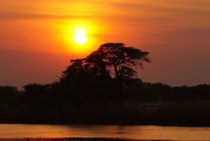 モンバサのムトワパ・クリーク：穏やかな海でのボートツアー、サンセットクルーズをお楽しみください