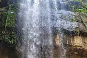 Mombasa Safari: Shimba Hills, watervallen en fotografie