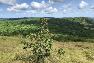 Mombasa Safari: Shimba Hills, watervallen en fotografie