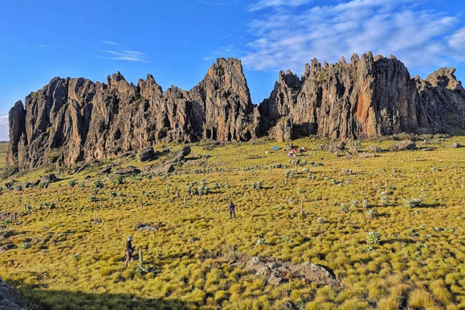 Nairobi: 3-Day Aberdare National Park Safari