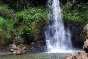 Nairobi: 3-Day Freedom Struggle Tour with Tea Country