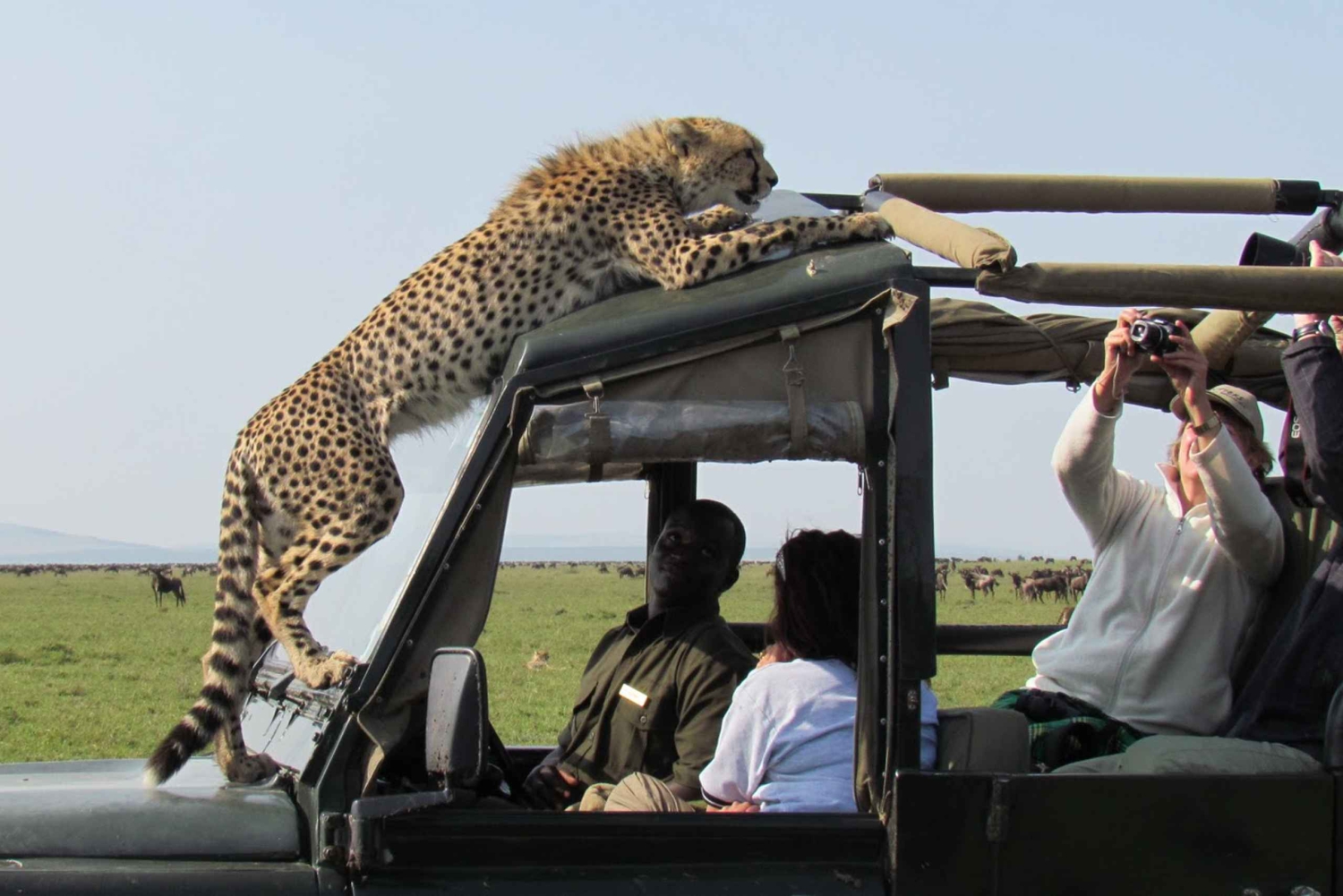 Nairobi: 3-Daagse Maasai Mara Groepstour met 4X4 Jeepsafari