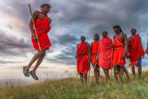 Nairobi: 3-dagers safari i Maasai Mara og varme kilder