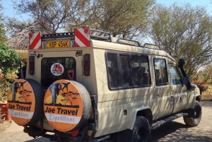 Nairobi: 3-dages Maasai Mara-safari med overnatning