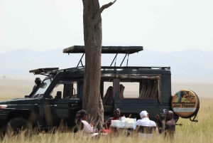 Nairobi: 3-dages Maasai Mara-safari med overnatning