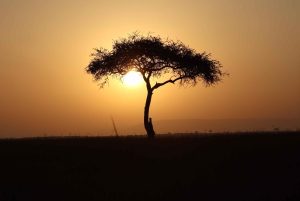 Nairobi: 3-dages Maasai Mara-safari med overnatning